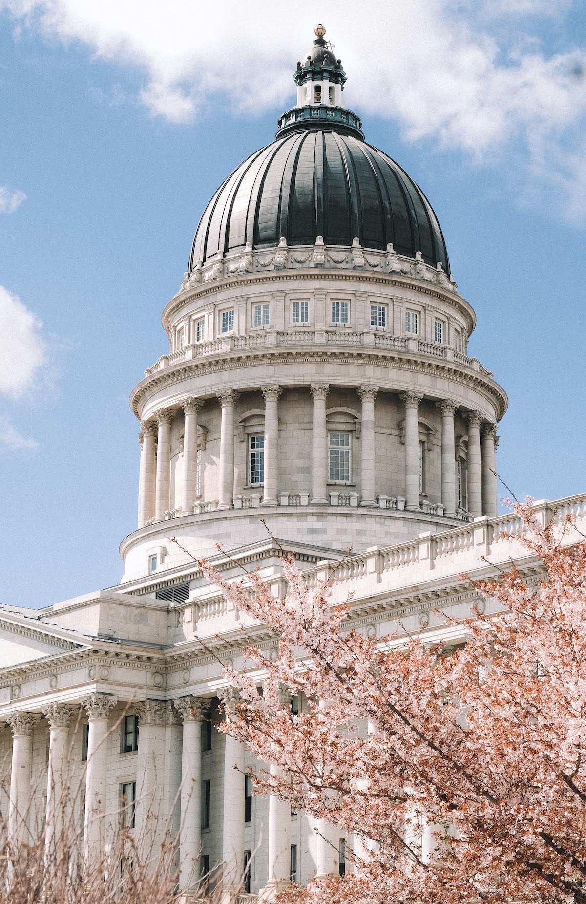 Utah State Capitol Cherry Blossoms