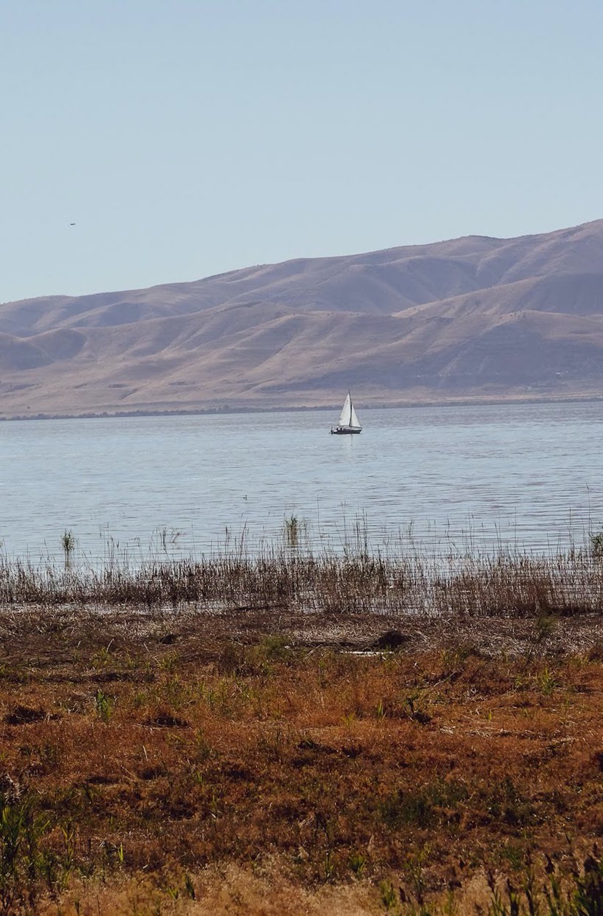 Sailboat on Utah Lake